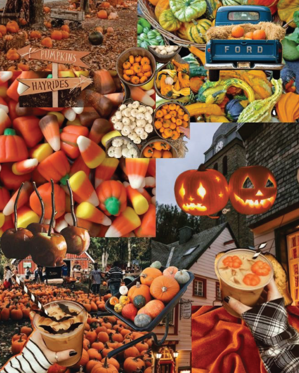 pumpkin patch